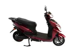 Zippy - Image 2